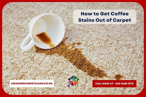 Stain Removal From Carpet Coffee Tea Stains 2024 Update