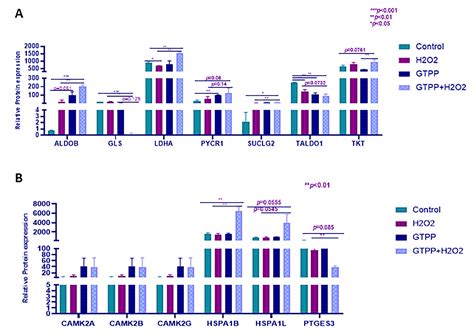 Inhibition Of TRAP1 Accelerates The DNA Damage Response Activation Of