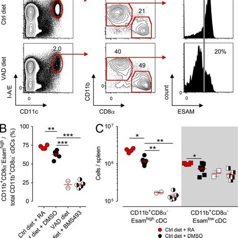 Deprivation Of RA Signaling Causes A Selective Loss In The Splenic