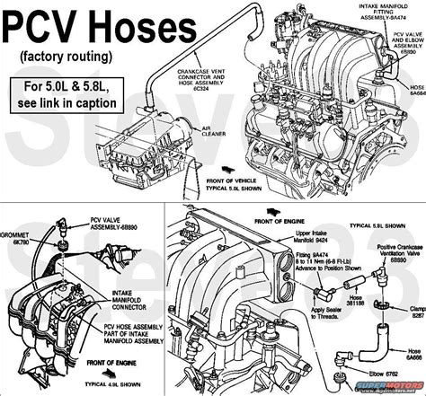 Official Ford 302 Engine Diagram Wiring Diagram