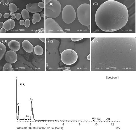 Sem Micrographs Of Mbs Ac And Mbs Aunps Df Eds Spectra Of