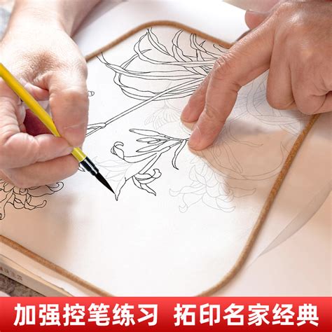 宋清花鸟工笔白描底稿临摹画册宋代经典图画50幅清代图画10幅花卉草虫花鸟果蔬鱼兽国画工笔画白描初学者入门临摹拓印描红本虎窝淘