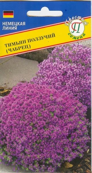 Тимьян BoriNat 133290 - купить по выгодным ценам в интернет-магазине ...