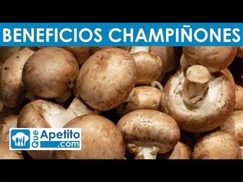 Descubre la verdad Los champiñones son verdura o proteína Analizamos