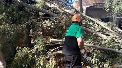 Ráfagas de casi 90 kilómetros por hora causaron destrozos en Rosario