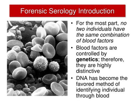 PPT Chapter 8 Forensic Serology PowerPoint Presentation ID 2526452