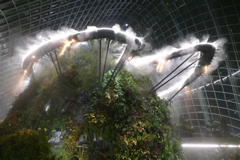 The Cloud Forest dome after dark - ZooChat