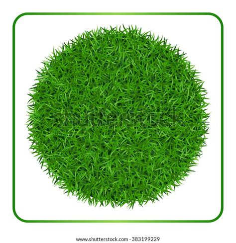 Green Grass Background Circle Field Template Stock Vector Royalty Free