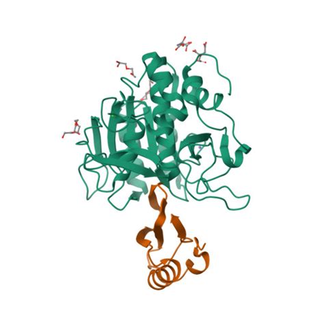 Rcsb Pdb Tm Crystal Structure Of The Complex Of Subtilisin Bpn