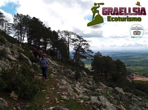 Cuaderno De Campo De Graellsia Ecoturismo Tour Privado En El Pinar De