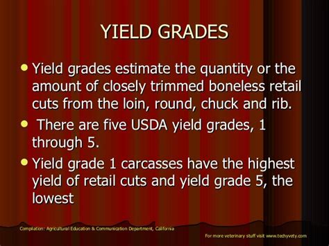 Carcass Grading