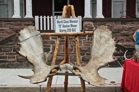 moose-antlers_02 | Duncannon Appalachian Trail Community