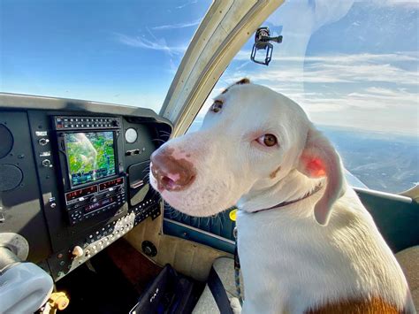 Tia Maria... - Tia Maria Torres of Pit Bulls & Parolees