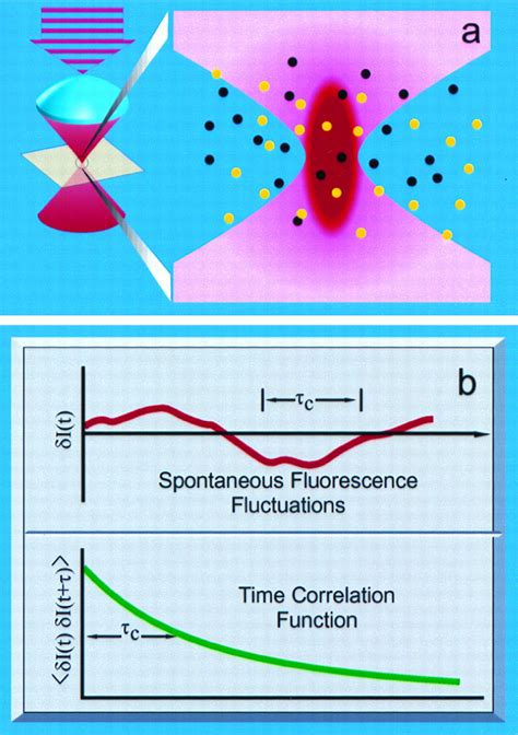 Fluorescence Correlation Spectroscopy Diagnostics For Sparse Molecules