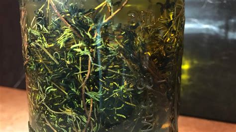 How To Make Infused Thyme Oil Youtube