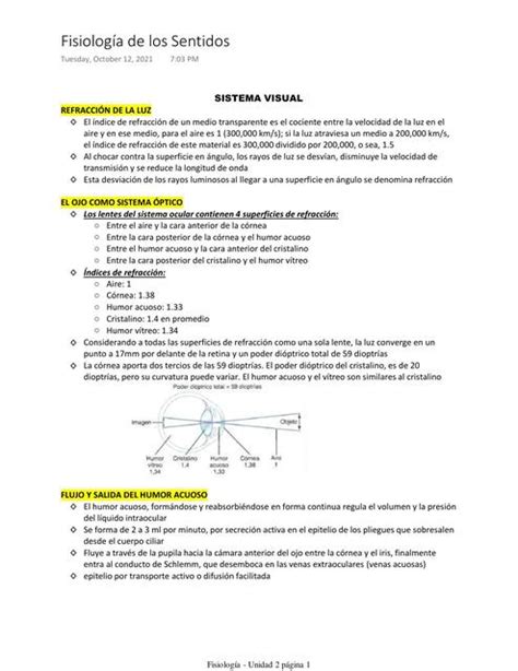 Fisiología de los Sentidos Resumen Emanuel H Martín uDocz