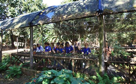 Escolas Rurais Resistem Ao Tempo 23 06 2018 Cotidiano Fotografia