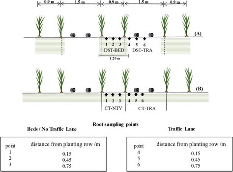 Double Row Spacing Of 090 × 150 M For Sugarcane A Deep Strip