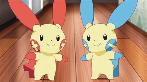 Los Clones De Pikachu Roedores De Tipo Eléctrico En Pokémon Nintenderos