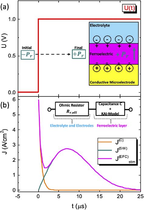 A Voltage Pulse With Height U 0 1 V Applied To The Efc