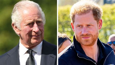 King Charles Worries Palace After Offering Rare Gesture To Prince Harry