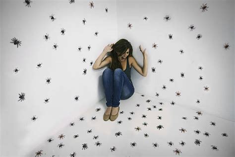 76100 Phobia Stock Photos Pictures And Royalty Free Images Istock