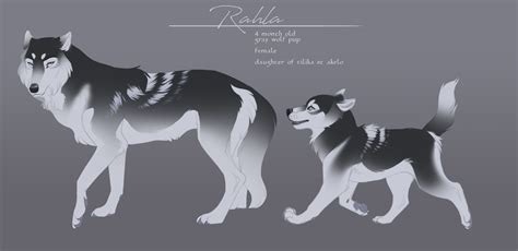 Rahla By Tazihound On Deviantart Canine Art Anime Wolf Drawing