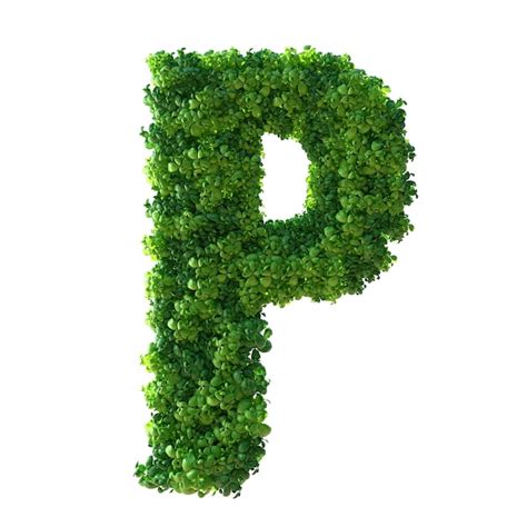 D Alphabet Lettre P Plante Verte Feuilles Herbe Mousse Basilic Menthe