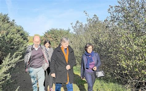 Lesneven soutenue par la Région pour son projet à lhippodrome Le