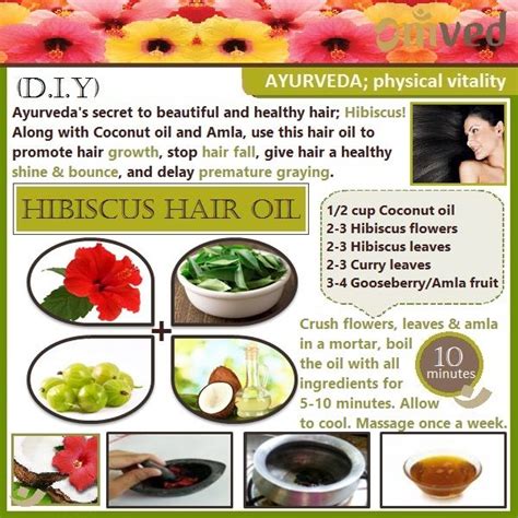 A Diy Hibiscus And Coconut Hair Oil In Ayurveda Hibiscus Jaswand Is Known For Healthy Hair