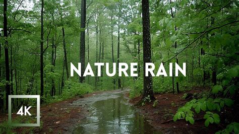 Relaxing Rainfall And Thunder Walking In The Rain Asmr Nature Sounds