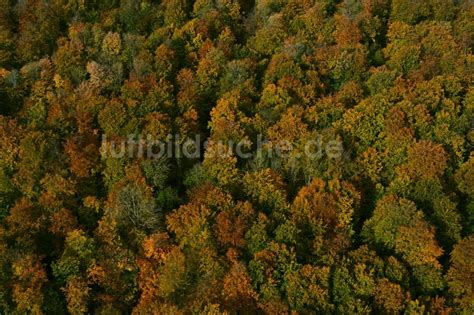 Oppershausen Aus Der Vogelperspektive Herbstluftbild Laubbaum