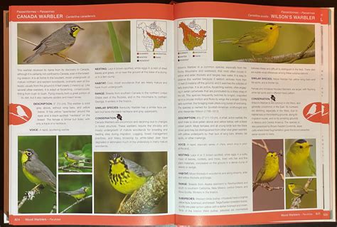 Review National Audubon Society Birds Of North America