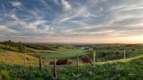 Beautiful Pasture Wallpaper Nature And Landscape Wallpaper Better