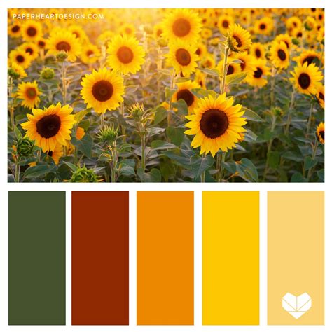 Color Palette: Sweet Sunflowers — Paper Heart Design Co.