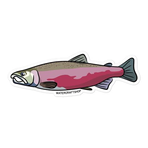 Coho Salmon Sticker Etsy