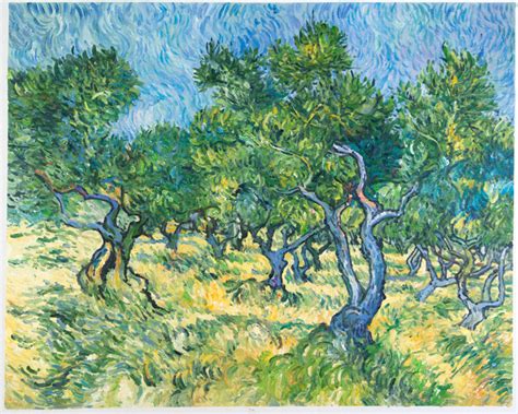 Olive Grove Van Gogh Reproduction For Sale Van Gogh Studio