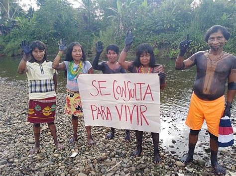 Impacto De La Pandemia En Los Pueblos Ind Genas De Colombia Se Da A