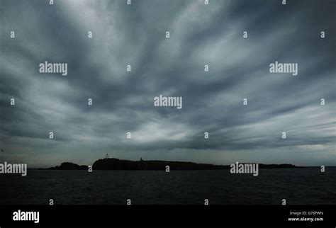 Puffin breeding season Stock Photo - Alamy