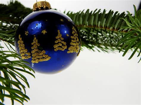 Free Images Branch Fir Decor Christmas Tree Deco Conifer Advent Christmas Decoration