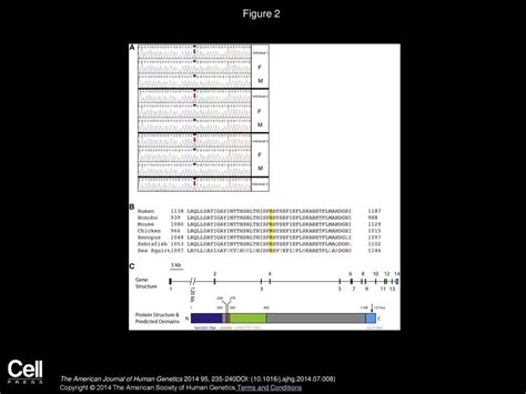 Exome Sequencing Identifies A Recurrent De Novo Zswim Mutation