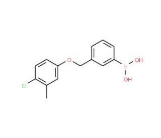 Chloro Methylphenoxy Methyl Phenylboronic Acid Cas