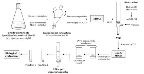 Schematic Representation Of Compounds Isolation From The Crude Extract