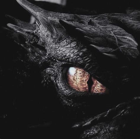 💫ℜ𝔥𝔢𝔞💫 Wiki Medieval Fantasy Rp Amino