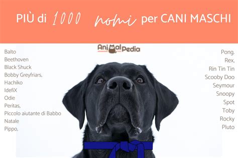 1000 NOMI Belli E Originali Per CANI Dalla A Alla Z