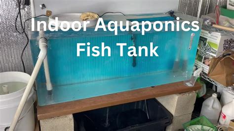 Indoor Aquaponics Fish Tank