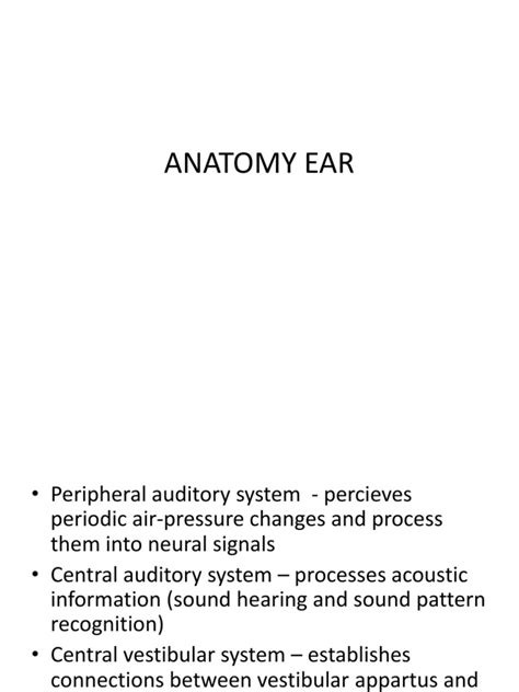 PDF Anatomy Ear DOKUMEN TIPS