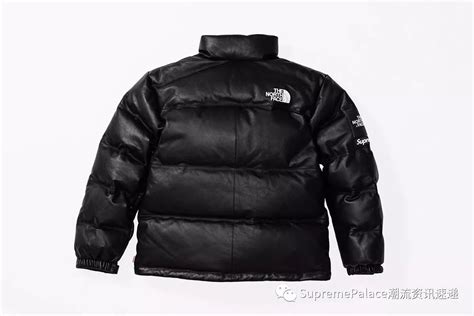 Supreme X The North Face