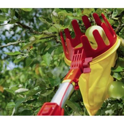 Colhedor de frutas cabo intercambiável SDmaq