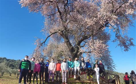 Los Escolares De Valverde Tambi N Visitan El Almendro Real Hoy Es